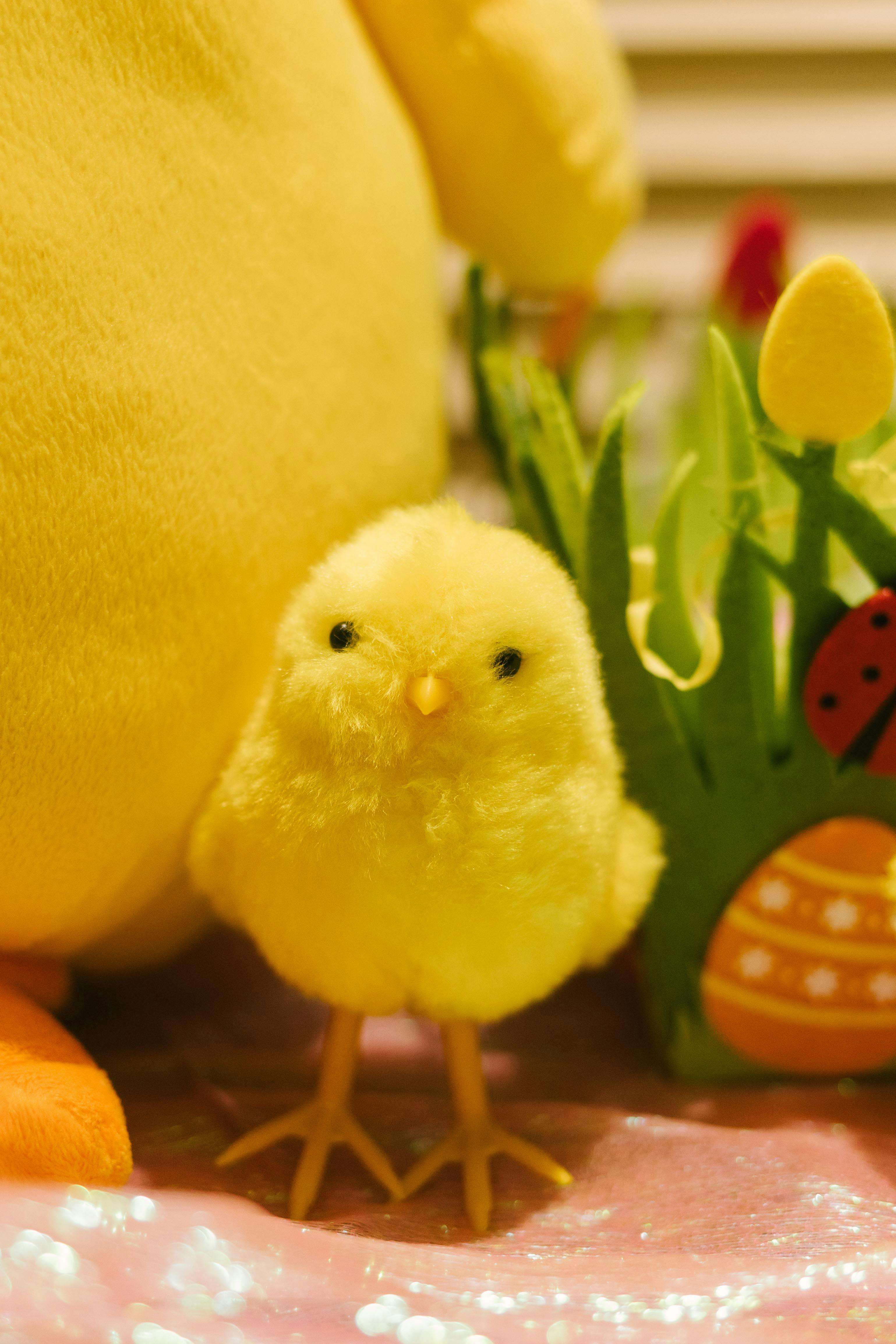 Pourquoi le jaune poussin ne va (presque) à personne ?