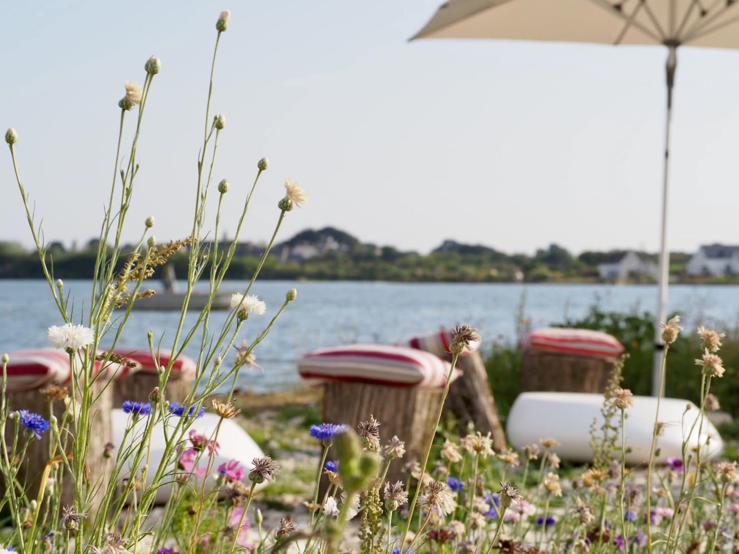 Vue sur des fleurs et des sièges au bord de l'eau, sous un parasol