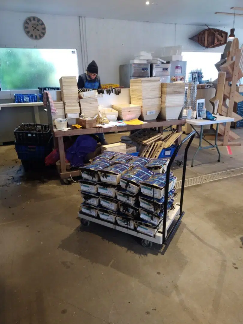 boutique en bois avec étagères de bouteilles