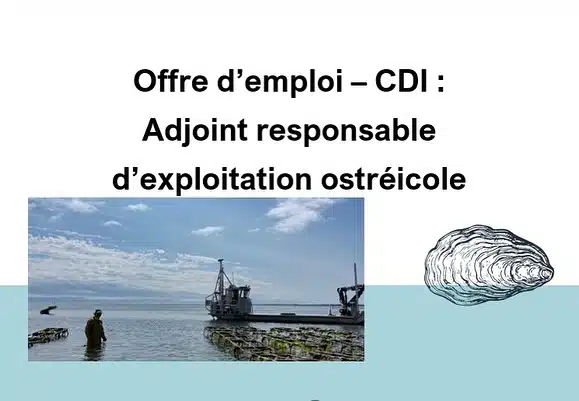 image d'offre d'emploi