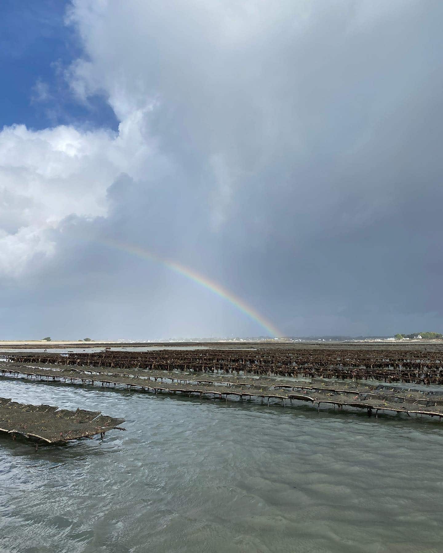 Paysage marin avec des parcs à huîtres et un arc-en-ciel