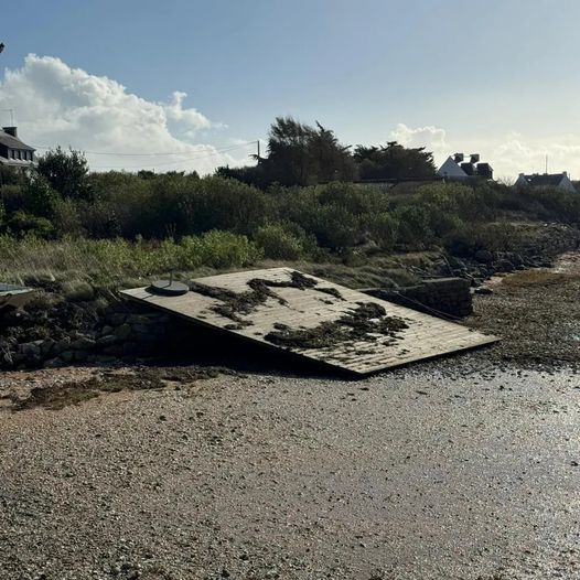Plage avec un quai incliné et de la végétation