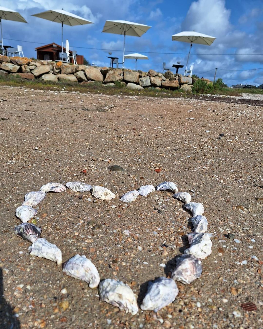 Coquilles d'huîtres formant un cœur sur la plage