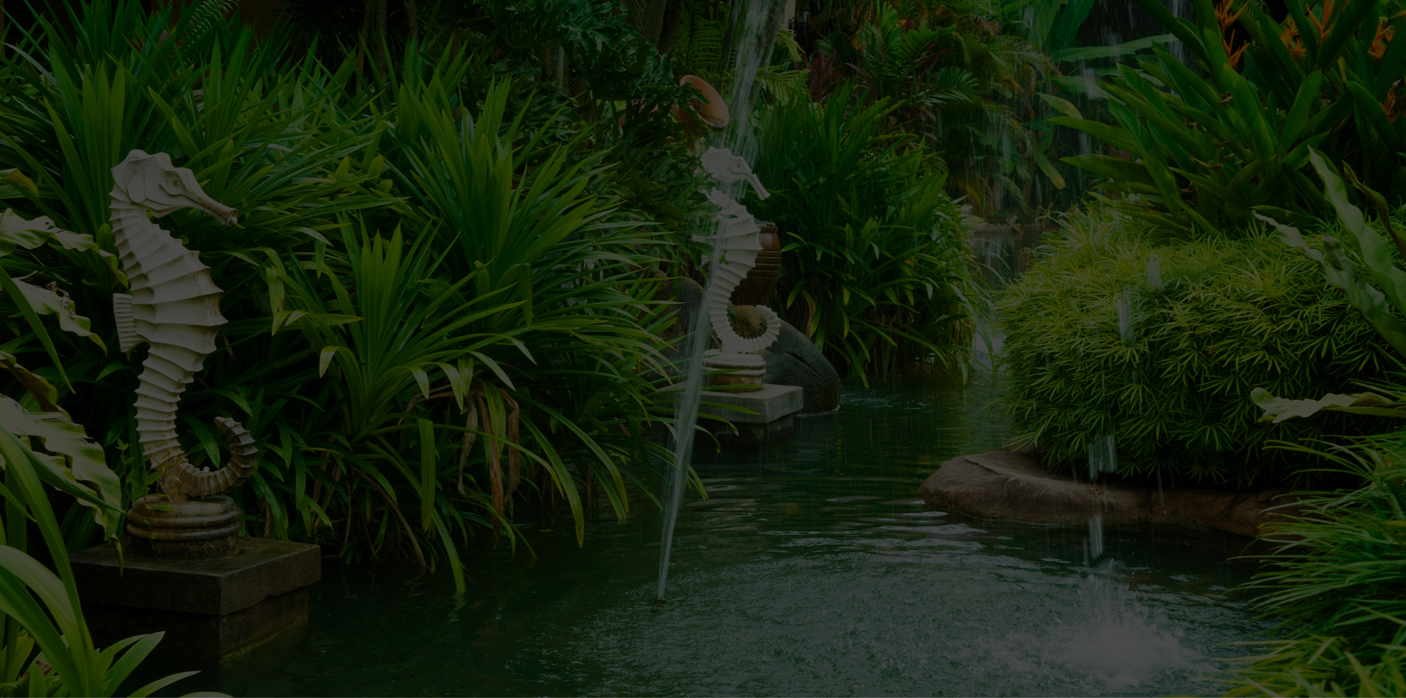 hippocampes
